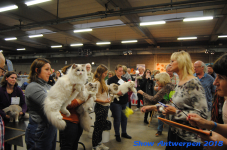 antwerp 2018 0301