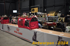 Antwerpen 107