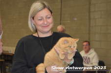 Schow Antwerpen 2023 305