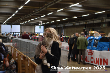 Schow Antwerpen 2023 225