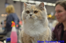 turnhout 2019-0319