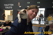 Antwerpen 172