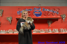 turnhout 2019-0426
