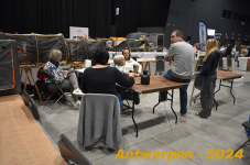 Antwerpen 084