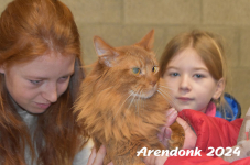 Arendonk 2024 141