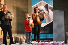 Antwerp 2022304