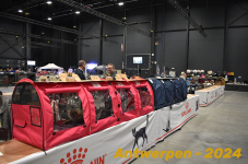Antwerpen 094