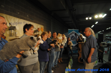 antwerp 2018 0378