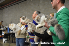 Antwerp 2022209