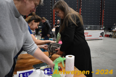 Antwerpen 117