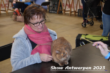 Schow Antwerpen 2023 137