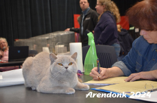 Arendonk 2024 271
