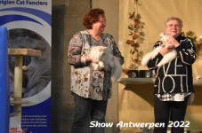 Antwerp 2022315