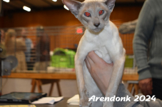 Arendonk 2024 352