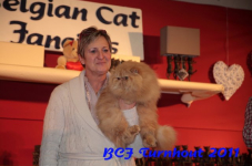 bcf antw 2010 232