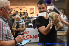 Antwerpen 2019DSC 0331