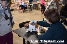 Schow Antwerpen 2023 128