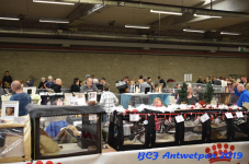 Antwerpen 2019DSC 0160