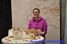 DSC 0124