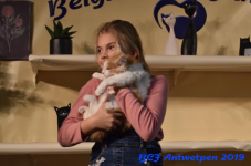 Antwerpen 2019DSC 0441