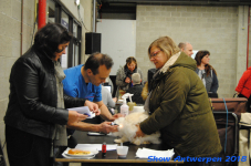 antwerp 2018 0082