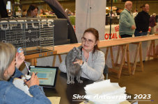 Schow Antwerpen 2023 180