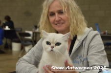 Schow Antwerpen 2023 295