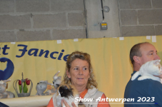 Schow Antwerpen 2023 312