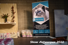 Antwerp 2022199