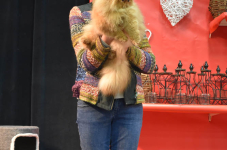Katttenshow Arendonk 2020 DSC 0531
