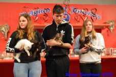 turnhout 2019-0435