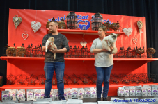 Katttenshow Arendonk 2020 DSC 0335