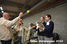 Antwerp 2022314