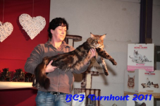 bcf antw 2010 214