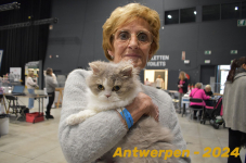Antwerpen 181