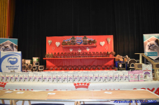 Katttenshow Arendonk 2020 DSC 0008