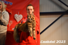 Laakdal 2023 379