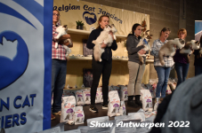 Antwerp 2022177