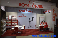 Antwerpen 2019DSC 0037