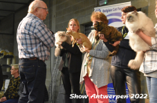 Antwerp 2022382