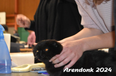 Arendonk 2024 044