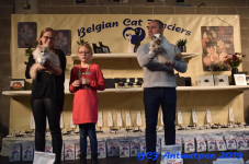 Antwerpen 2019DSC 0207