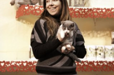  bcf ant 201137