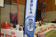 Katttenshow Arendonk 2020 DSC 0012