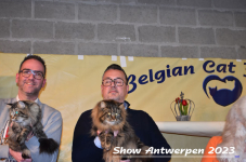 Schow Antwerpen 2023 407