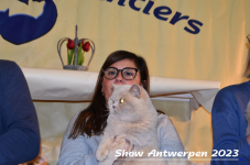 Schow Antwerpen 2023 419