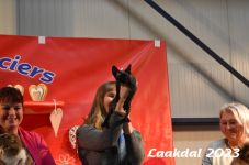 Laakdal 2023 456