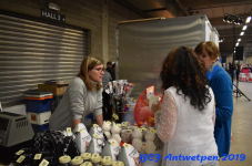 Antwerpen 2019DSC 0186
