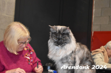 Arendonk 2024 364