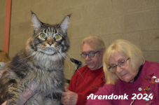 Arendonk 2024 298
